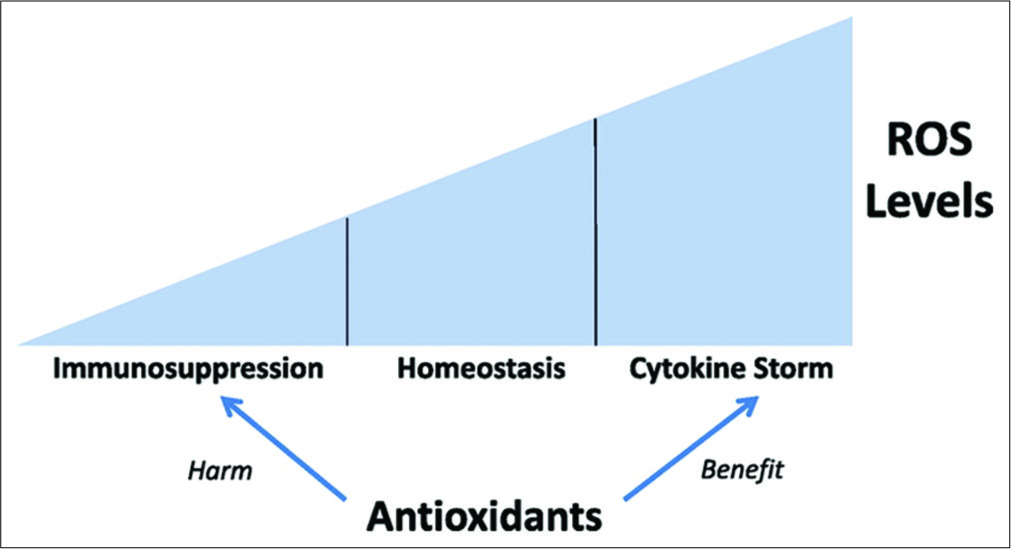 A perfect balance between Antioxidants and level of Reactive oxygen species , decides the outcome between immunosuppresion and Cytokine storm.[24]