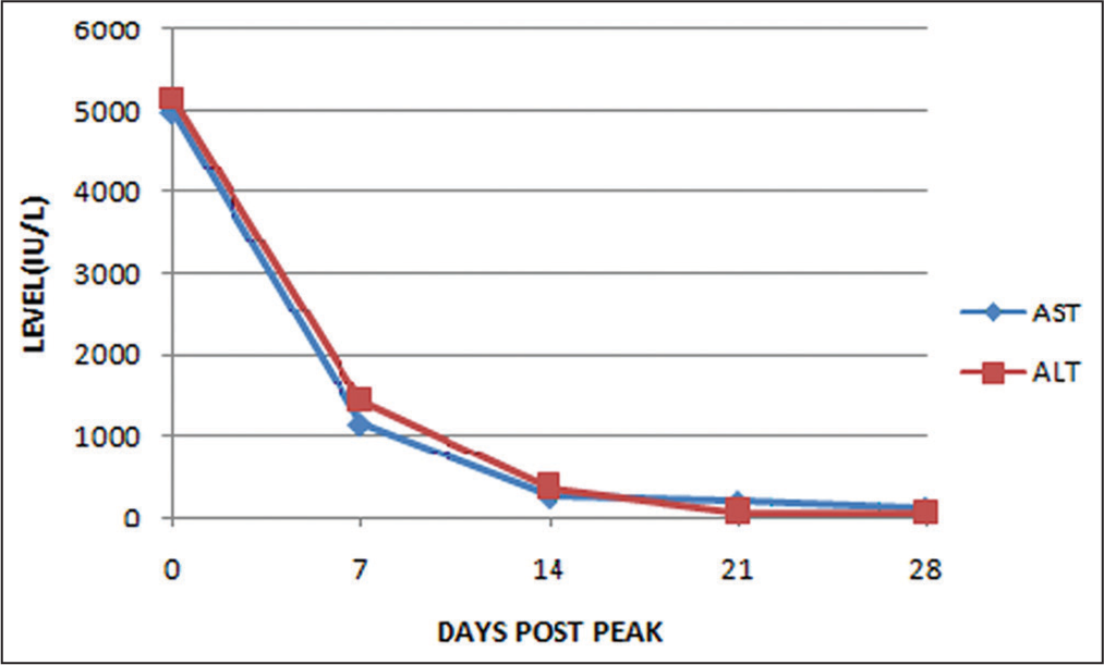 The peak levels of aspartate aminotransferase (AST) and alanine aminotransferase (ALT) were observed on the second day of hospitalization, and it took approximately 28 days for these levels to return to normal. The serum levels of AST and ALT decreased in parallel with the pre-dialysis serum creatinine and creatine phosphokinase levels, indicating an association with rhabdomyolysis.