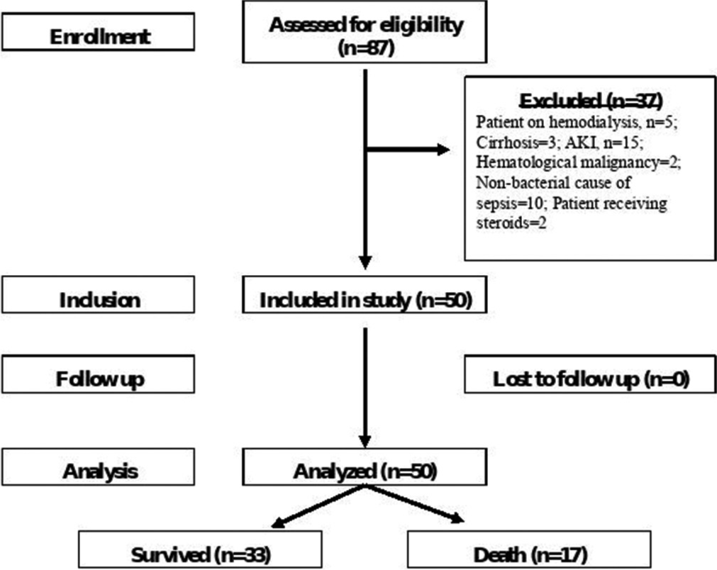 Flow chart of the study. AKI: Acute kidney injury.